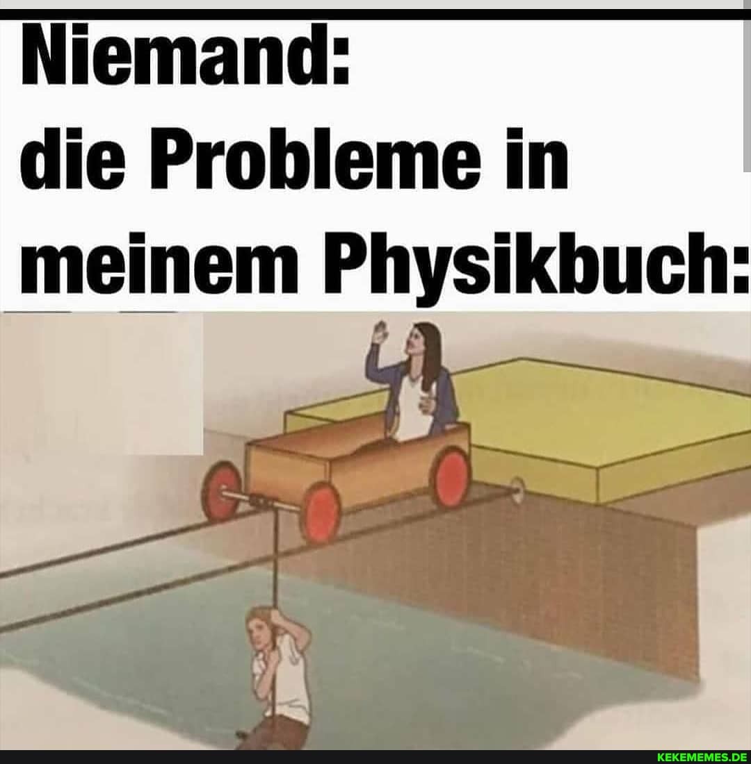 Niemand: die Probleme in meinem Physikbuch: