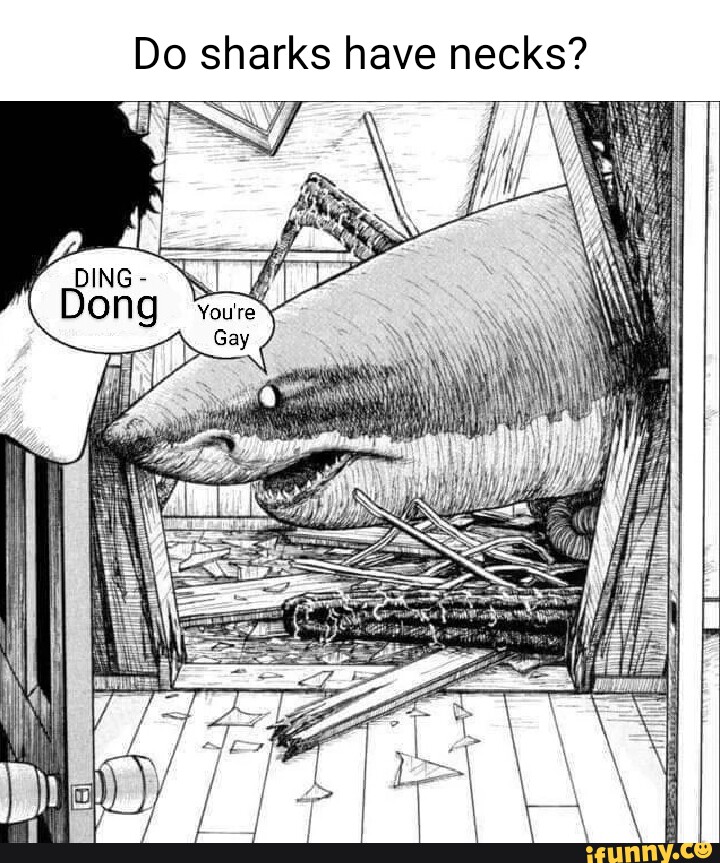 Do sharks have necks? - iFunny