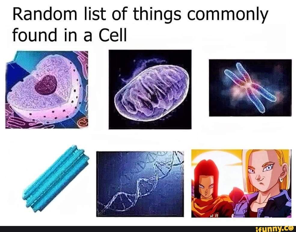 Random list of things commonly found in a Cell
