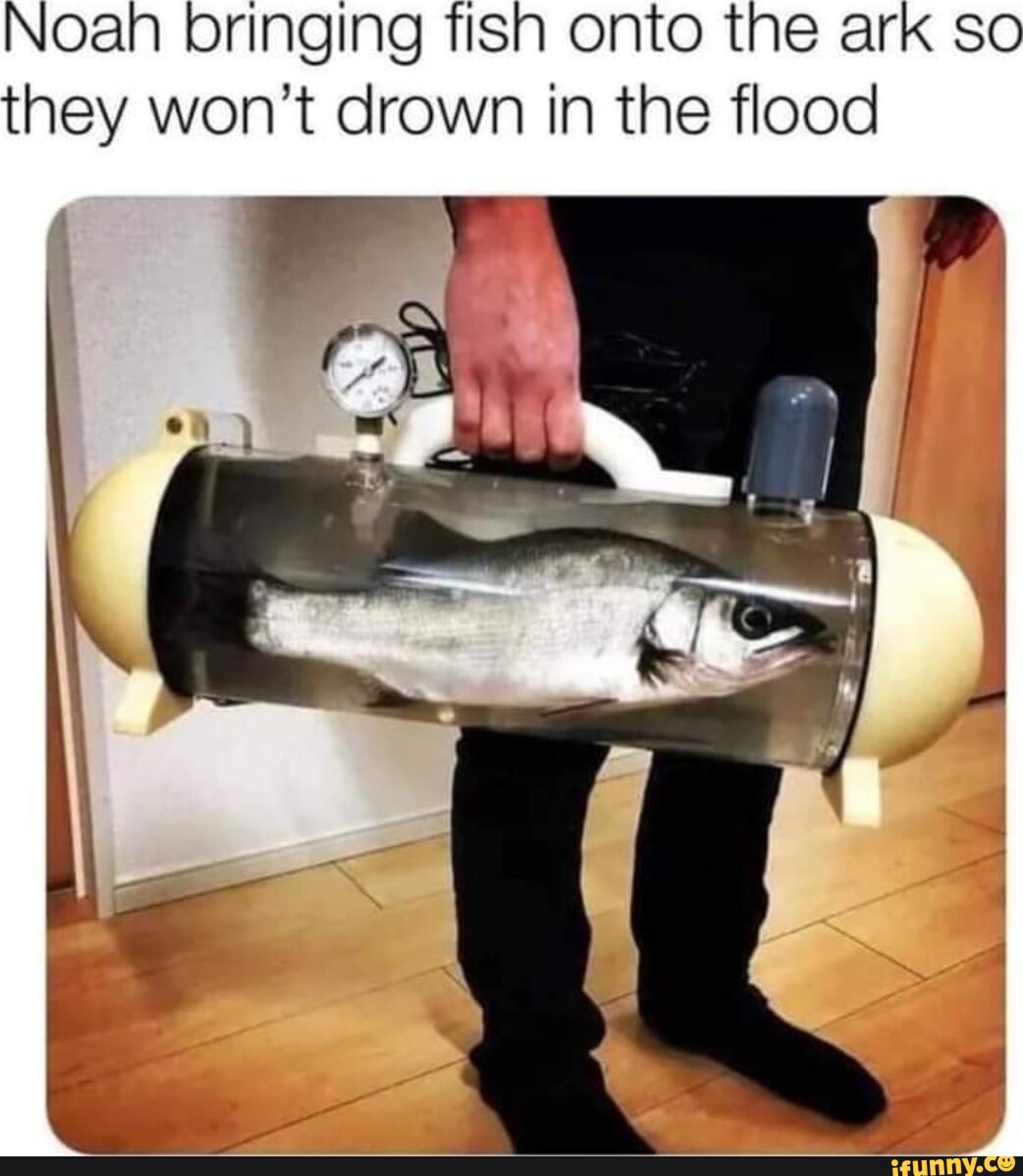 Noan memes. Best Collection of funny Noan pictures on iFunny