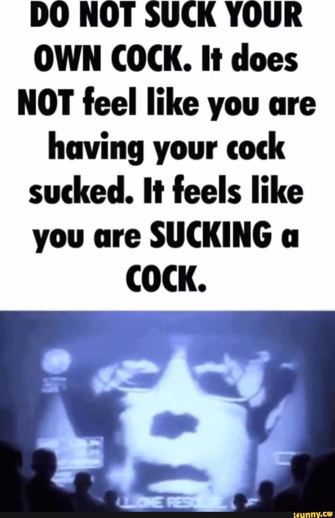 DO NOT SUCK YOUR OWN COCK. It does NOT feel like you are having your cock  sucked. It feels like you are SUCKING a COCK. - iFunny