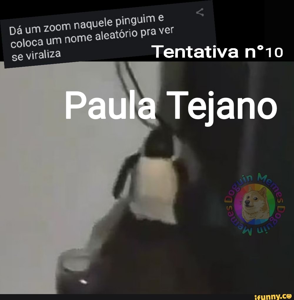 Dá um zoom naquele pinguim coloca um nome aleatório pra ver
se viraliza T Tentativa nº10
Paula Tejano
