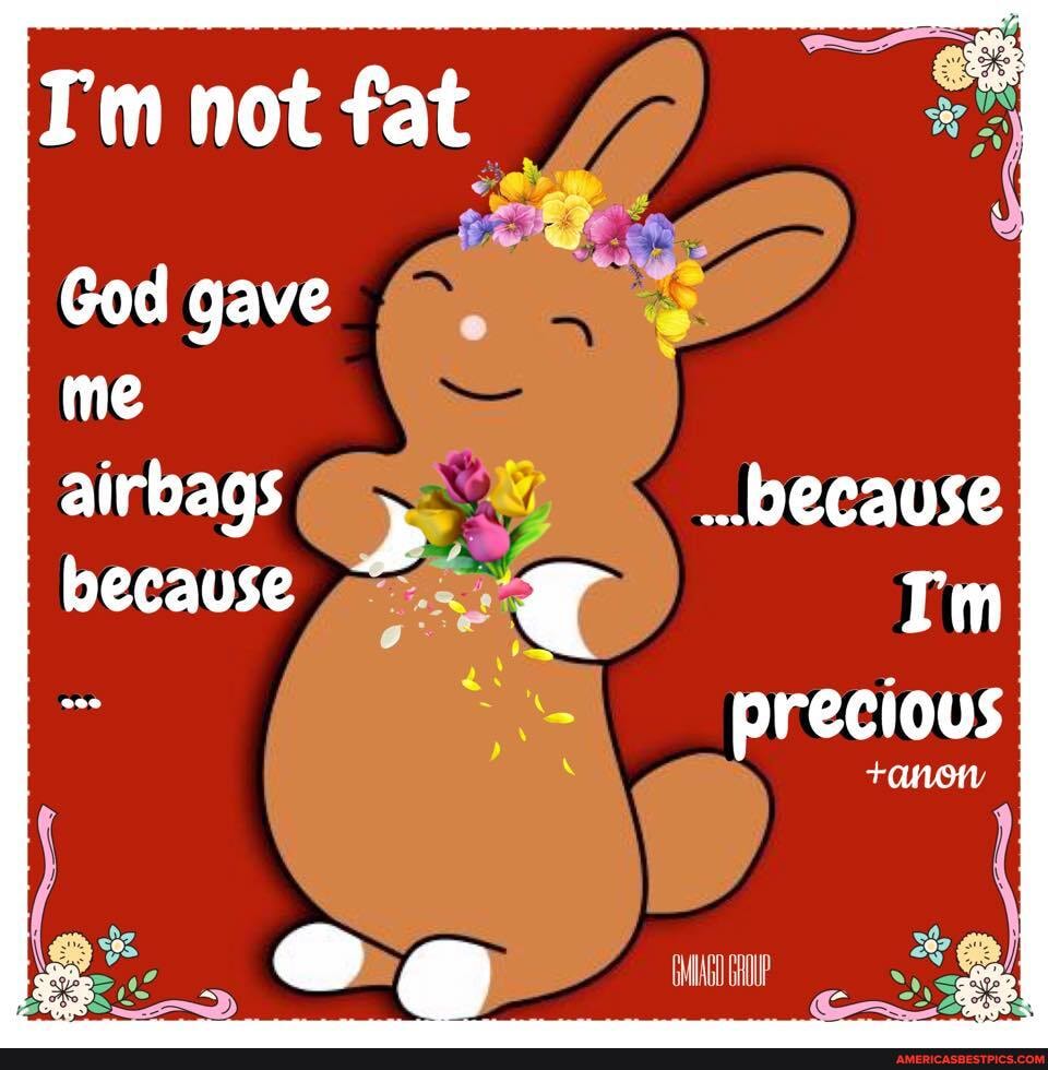 Tm not fat
God gave me
airbags because
because
Tm precious
CULOH