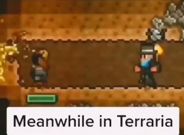 TERRARIA FAZENDO REFERÊNCIAS A TRADUÇÃO: SIM, OURO É MAIS RESISTENTE QUE  FERRO. OQUE ESTÃO ENSINANDO AOS HUMANOS HOJE EM DIA? - iFunny Brazil