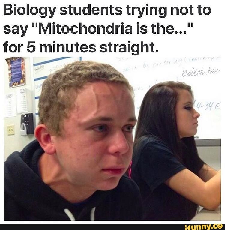 Biology students trying not to say 