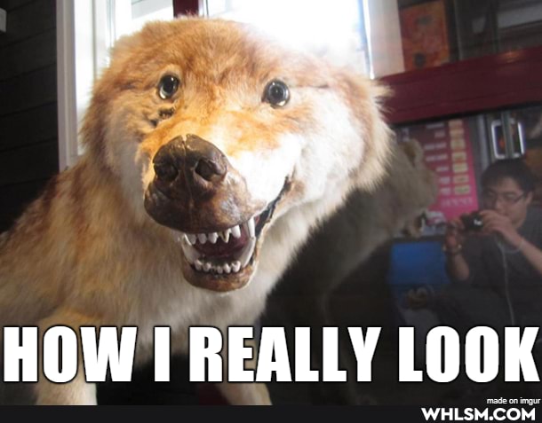 FF
HOW REALLY LOOK