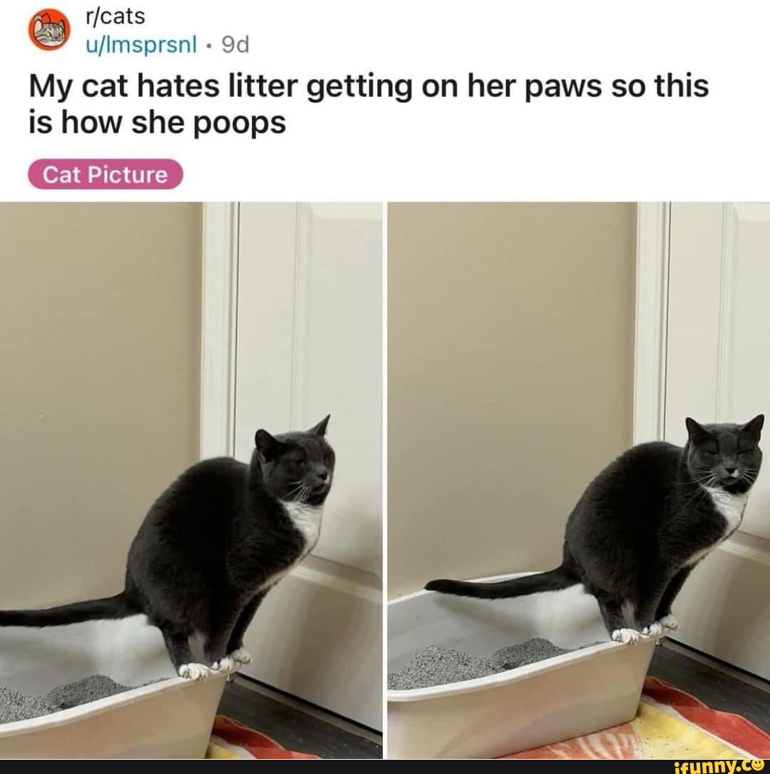 There are 2 kinds of people Robert Downey Jr You know who I am. iFunny