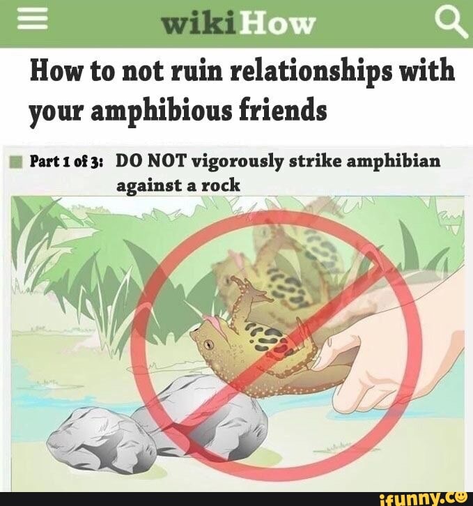 How to not ruin relationships with
your amphibious friends
E Part1o0f3: DO NOT vigorously strike amphibian
againstarock