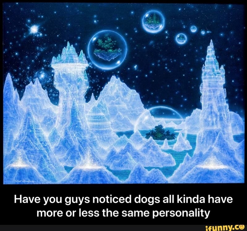 Have you guys noticed dogs all kinda have more or less the same personality - Have you guys noticed dogs all kinda have more or less the same personality