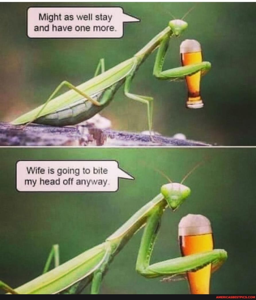 Might as well stay
and have one more
Wife is going to bite
my head off anyway. I