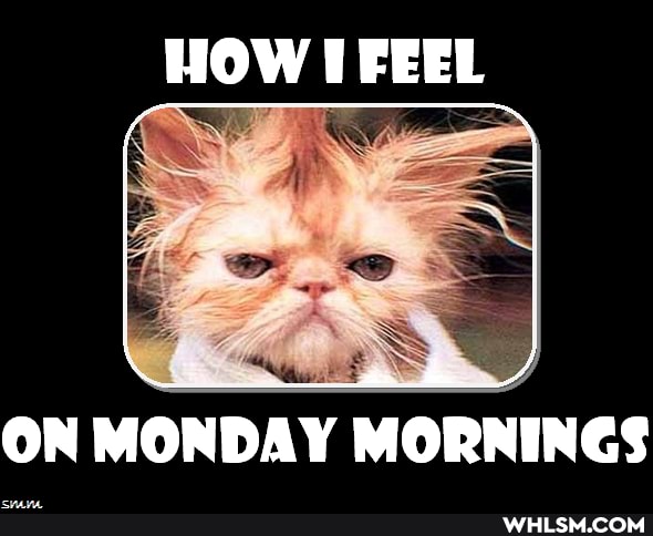 HOW FEEL
ON MONDAY MORNINES