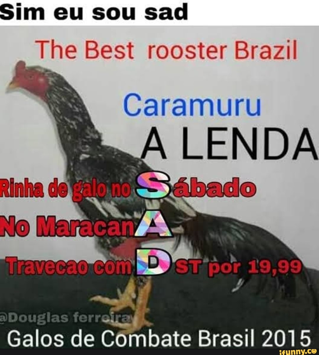 Si
EU SOU
The Best rooster Brazil
Caramuru
LENDA
Rinha
Galos de Combate Brasil 2015