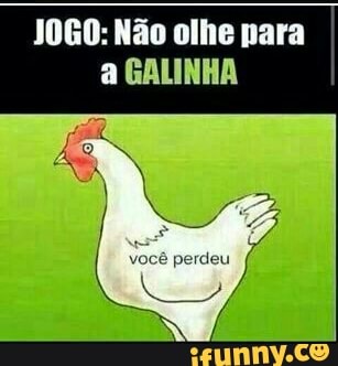 JOGO: Não olhe para
I
a GALINHA
R