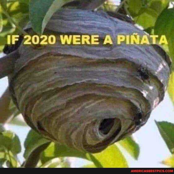 _IF 2020 WERE A'PIN