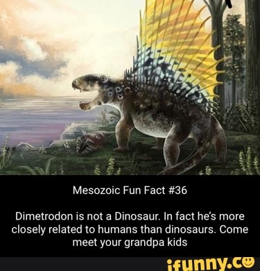 Dimetrodon memes. Best Collection of funny Dimetrodon pictures on iFunny