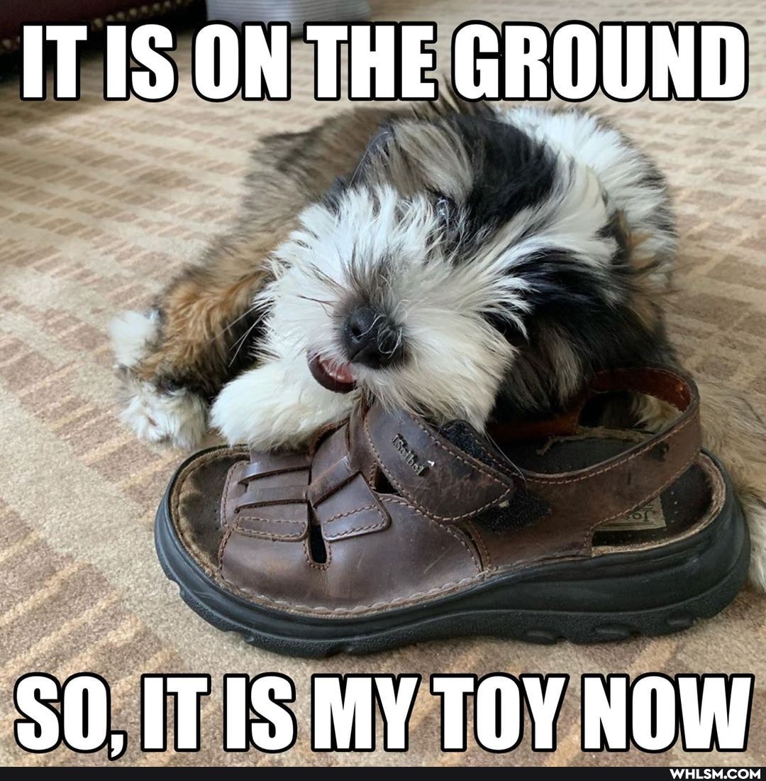 IT1S ON THE GROUND
SO. IITIS MY TOY NOW