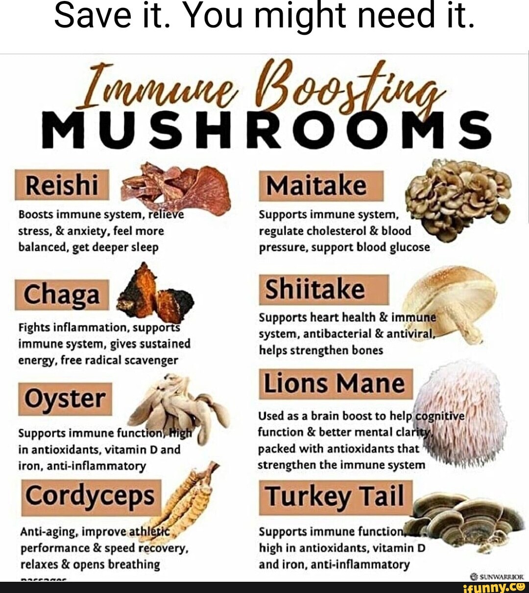 Save it. You might need it. MUSHROOMS 'Reishi 