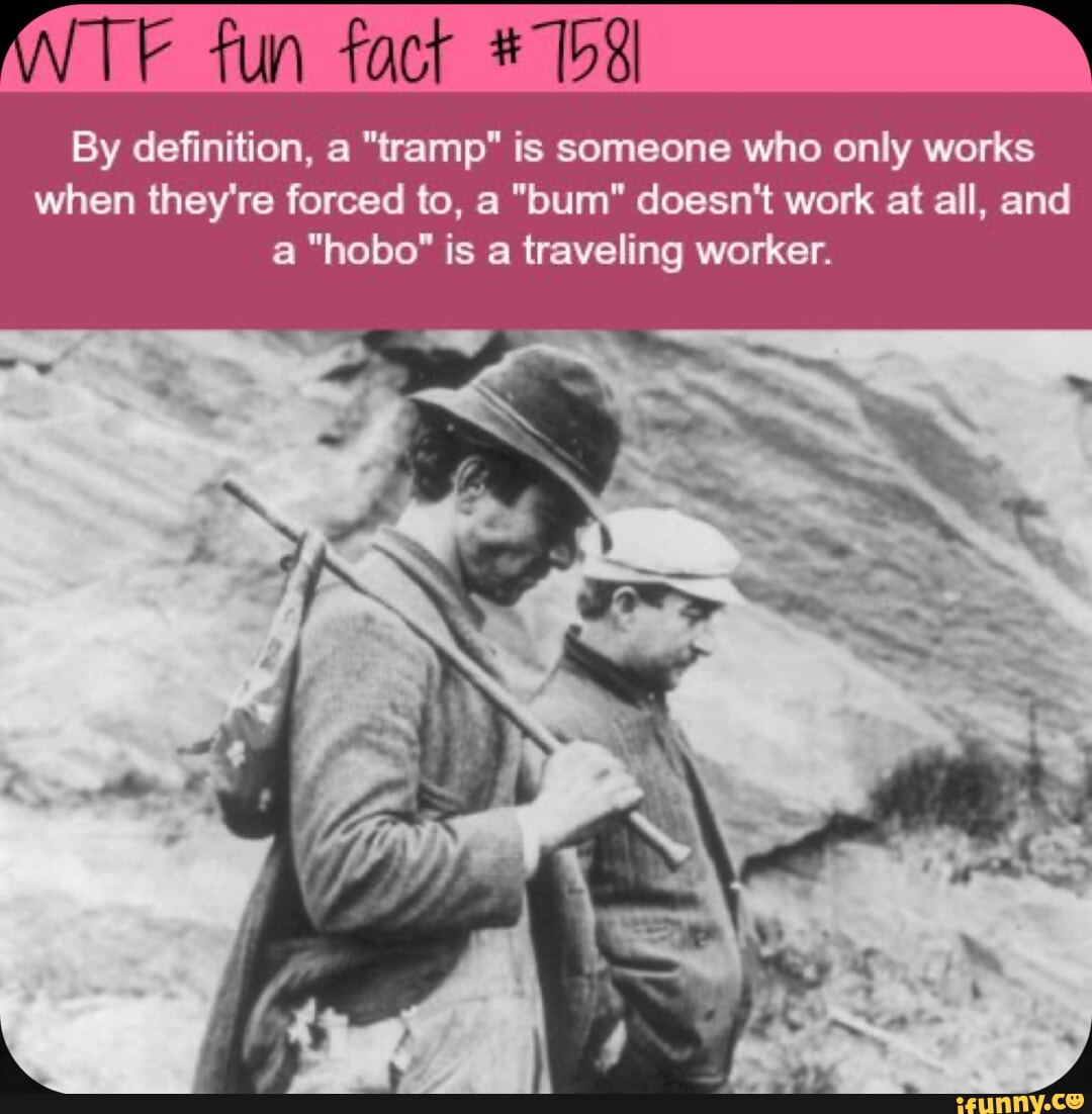 TE fun fact By definition, a