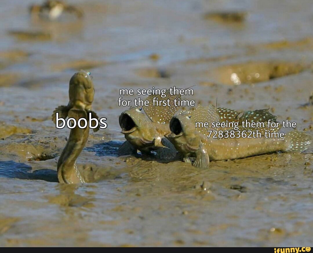 Me seeing them for the first time boobs me seeing them for the ...