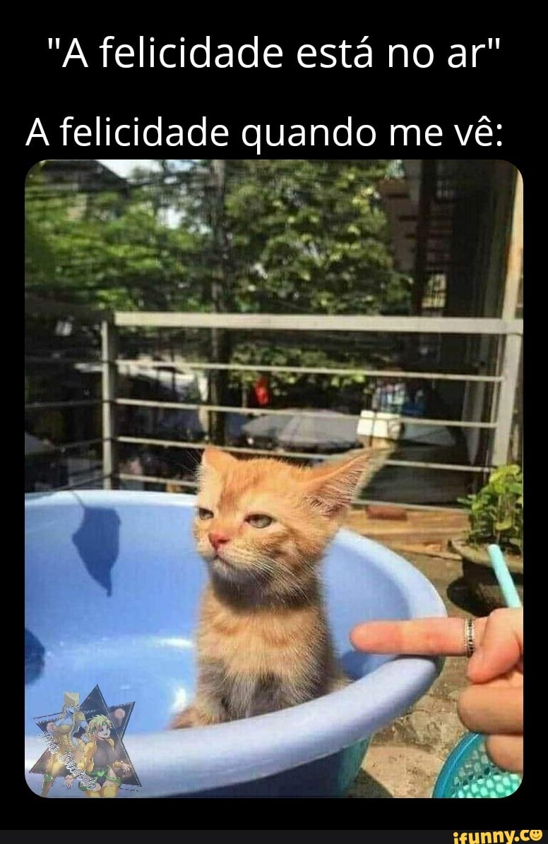 "A felicidade está no ar"
felicidade quando me vê: