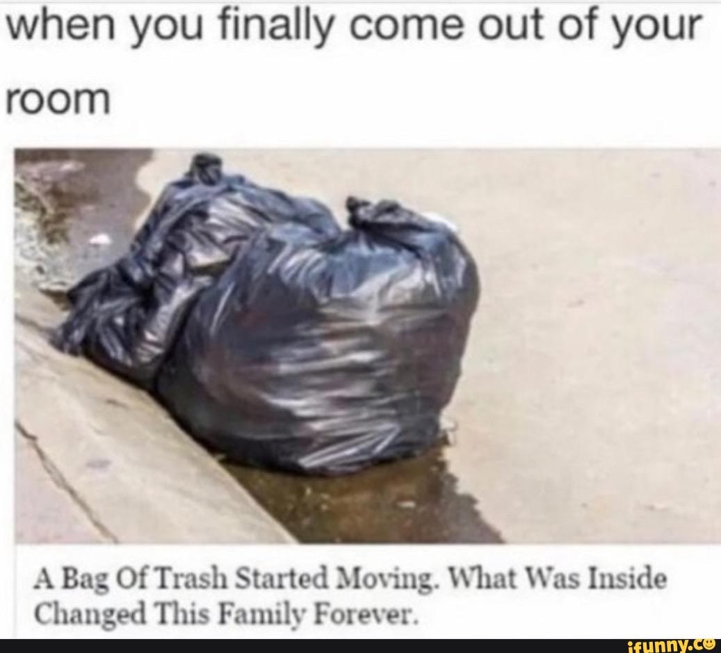 When you finally come out of your room A Bag Of Trash Started Moving