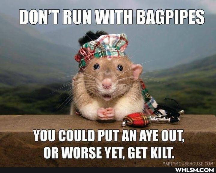 DON'T RUN WITH BAGPIPES
YOU COULD PUT AN AYE OUT OR WORSE VET, GET KILT