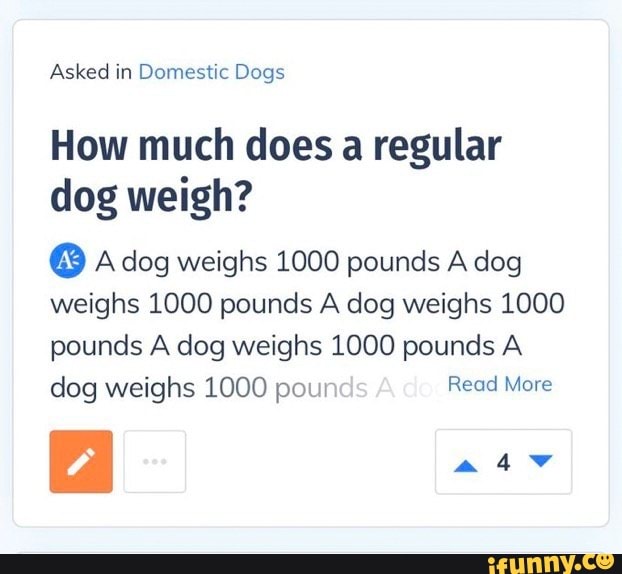 Asked in Domestic Dogs
How much does a regular
dog weigh?
G A dog weighs 1000 pounds A dog
weighs 1000 pounds A dog weighs 1000
pounds A dog weighs 1000 pounds A
dog weighs 1000 poun Read More