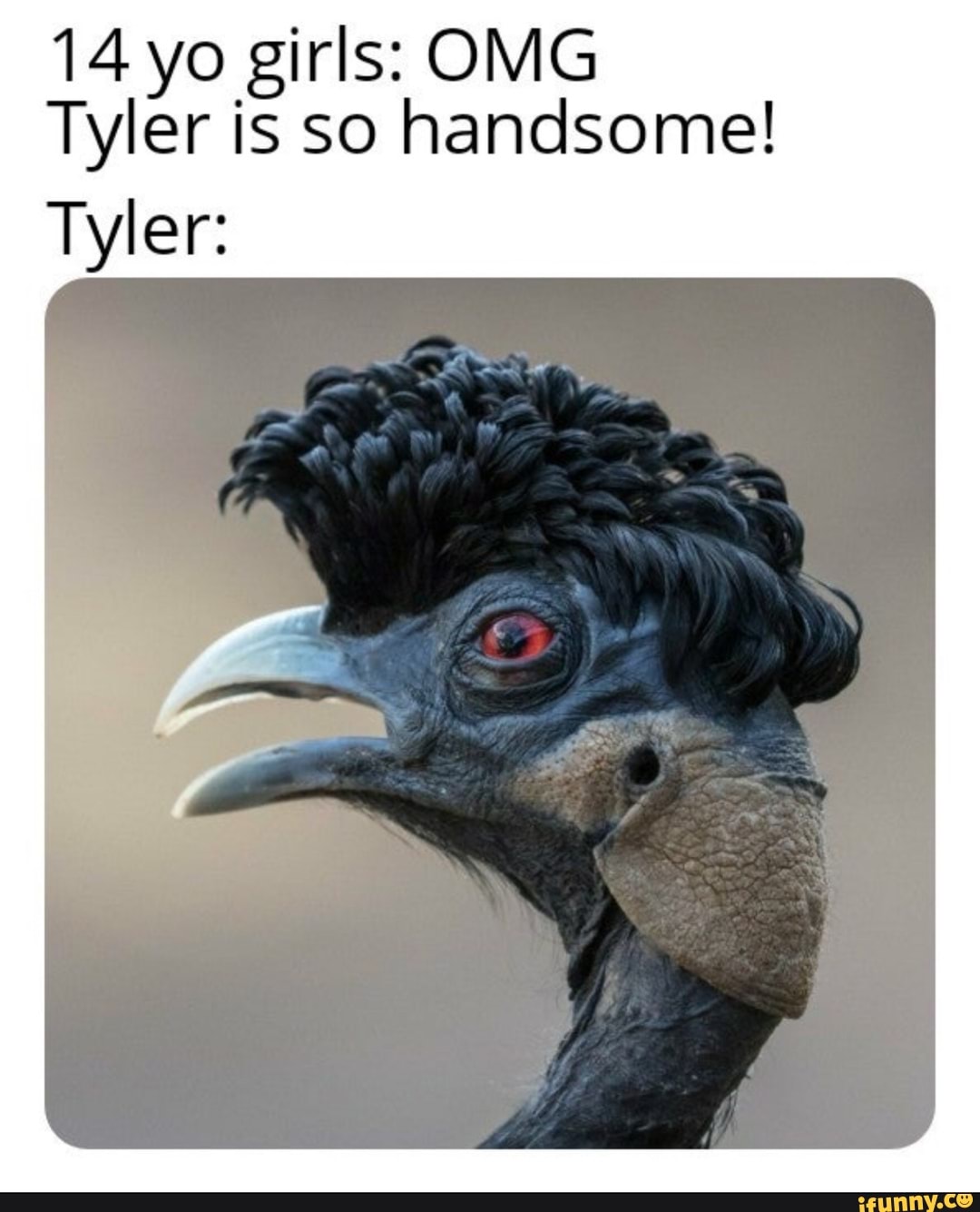 14 yo girls: OMG Tyler is so handsome!
Tyler: