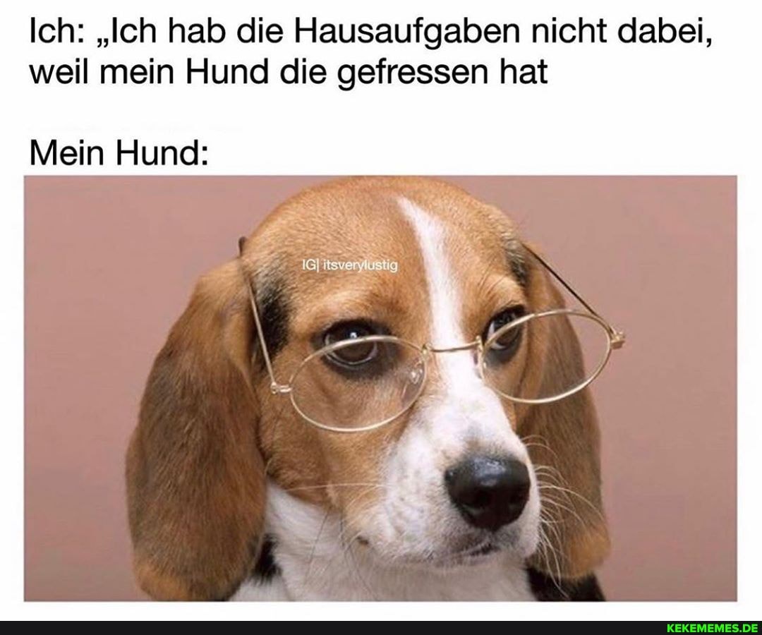 Ich: "Ich hab die Hausaufgaben nicht dabei, weil mein Hund die gefressen hat
Mein Hund: