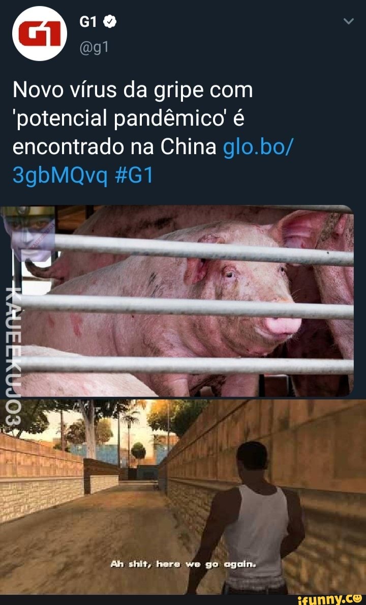 Novo virus da gripe com
'potencial pandêmico é
encontrado na China glo.bo/