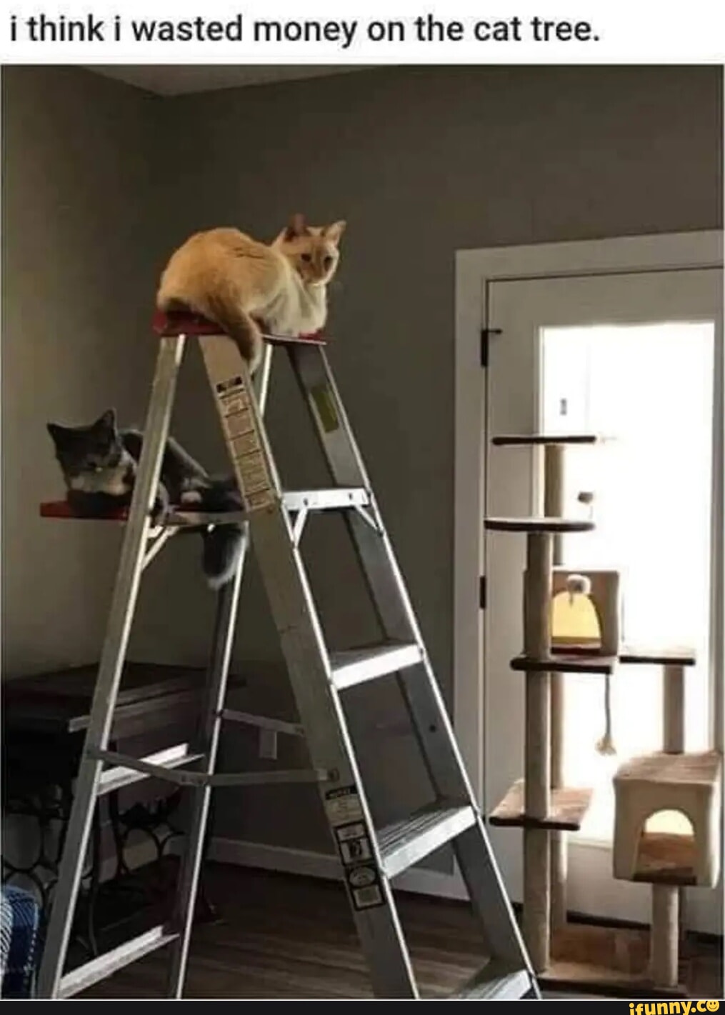 ! my boyfriend talks in his sleep and I wish it was just cute gibberish