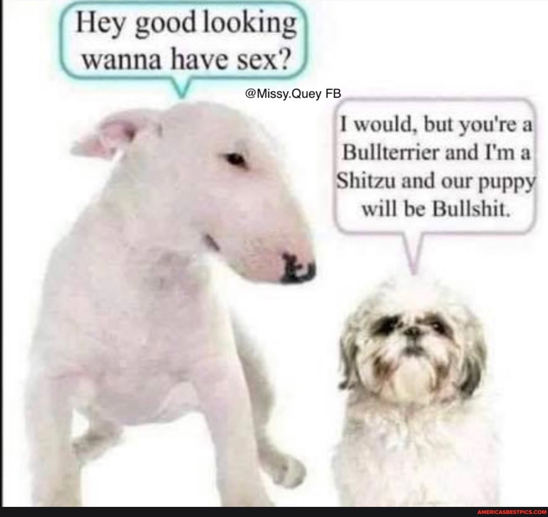 Hey good looking
wanna have sex?
will be
Bullshit.