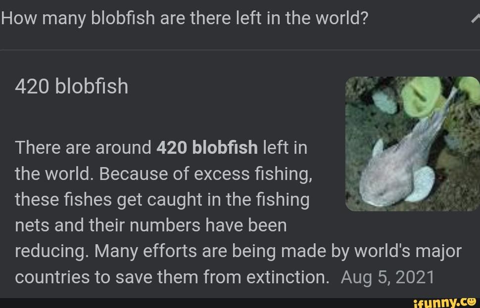 We are all the blobfish.. Behold, on the left, the “world's…