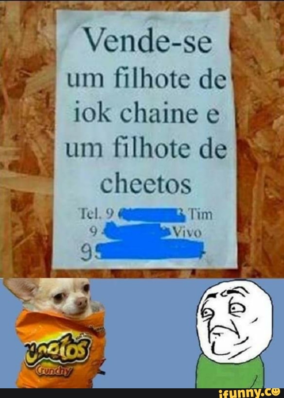 Vende-se
um filhote de
iok chaine e
um
filhote de
cheetos