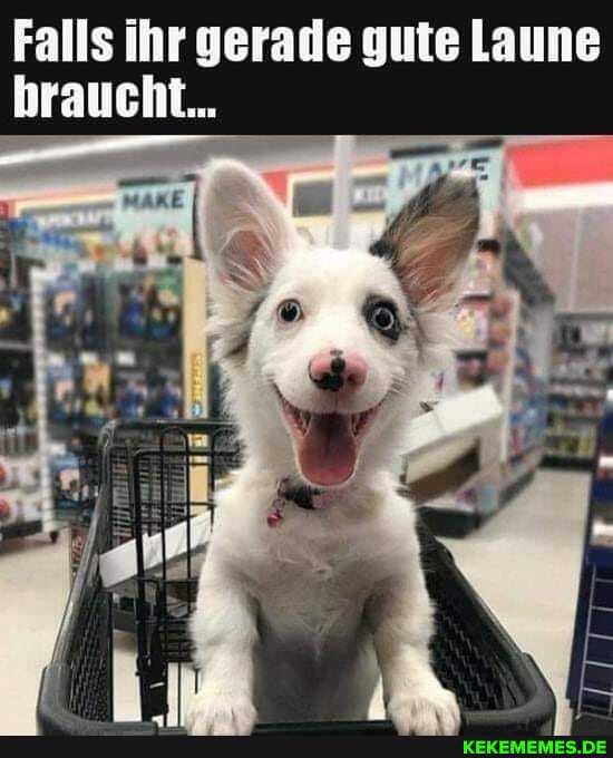 Falls ihr gerade gute Laune braucht.