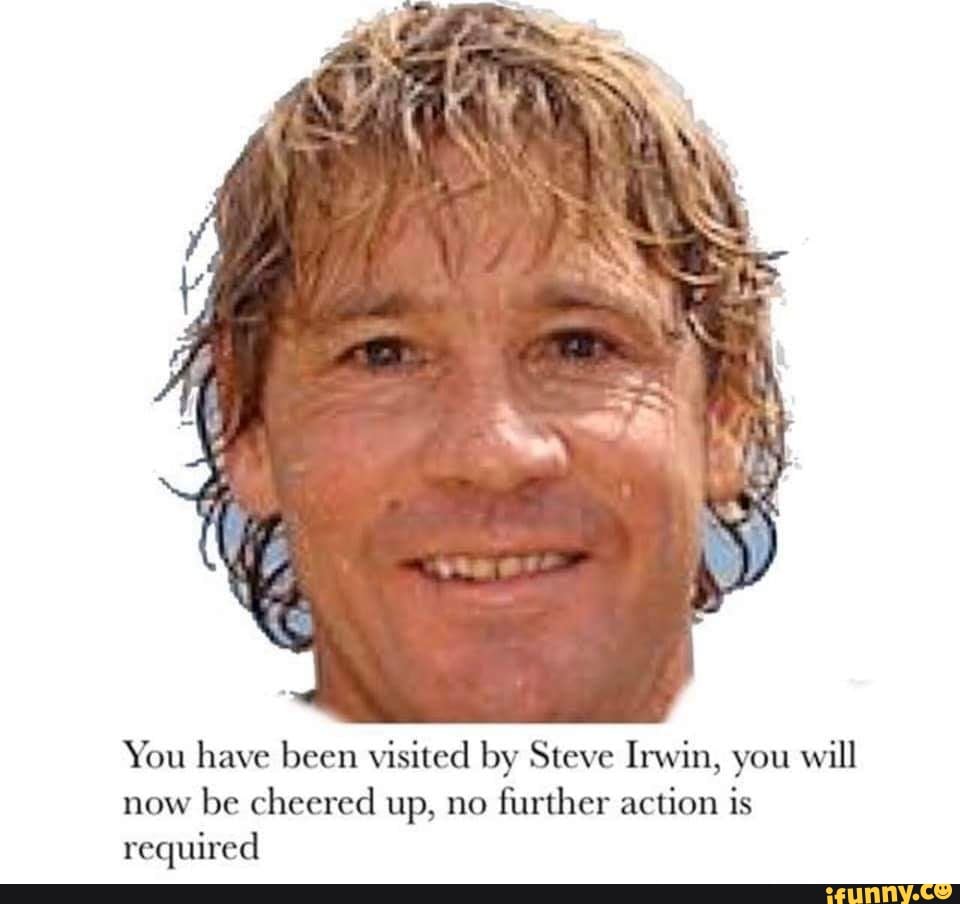 You have been visited by Steve Irwin, you will
now
be cheered up, no
further action is
required