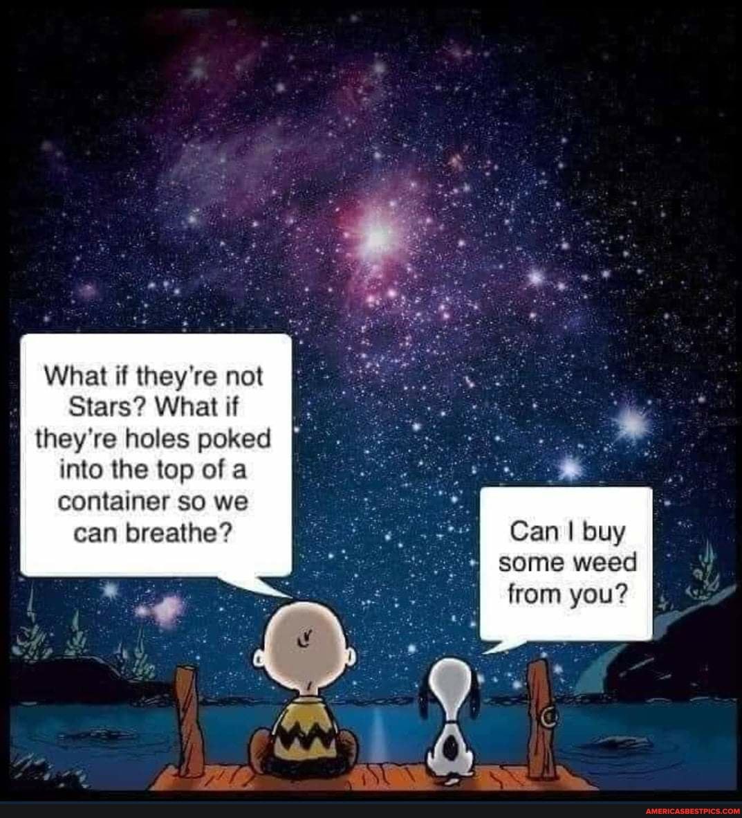 What if they're not
Stars? What if they're holes poked into the top of a container so we can breathe? Can I buy
I some weed
from you?