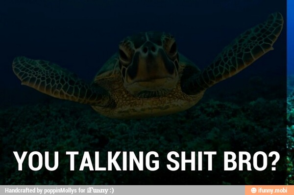 YOU TALKING SHIT BRO?