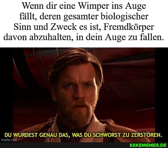 Wenn dir eine Wimper ins Auge fällt, deren gesamter biologischer
Sinn und Zweck es ist, Fremdkörper davon abzuhalten, in dein Auge zu fallen.
DU WURDEST GENAU DAS, WAS DU SCHWORST ZU ZERSTÖREN.