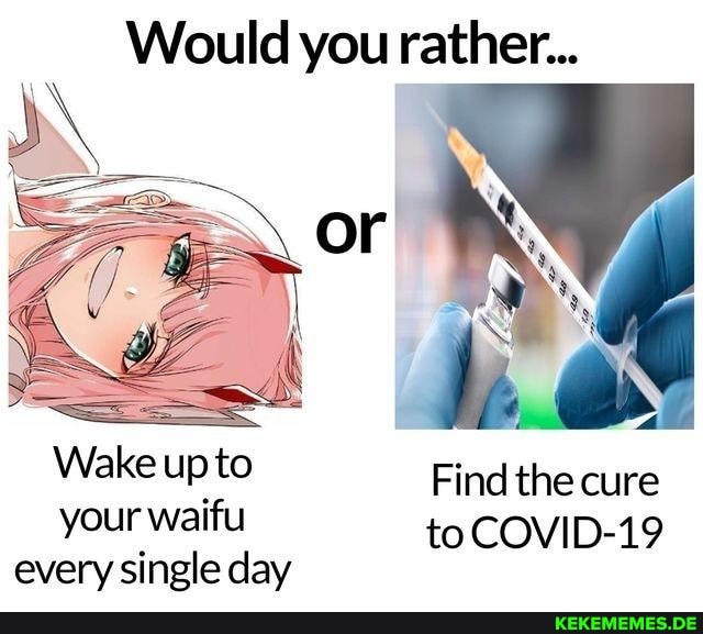 Would you rather... Wake up to Find the cure your waifu to COVID-19 every single