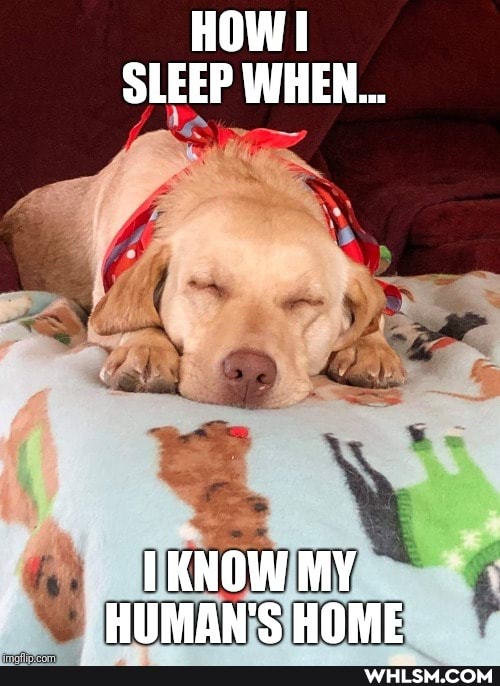 HOW I SLEEP WHEN...
KNOW MY HUMAN'S HOME
