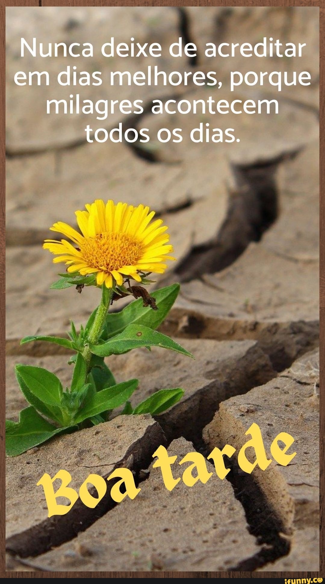 Nunca deixe de acreditar em dias melhores, porque milagres acontecem todos os dias.