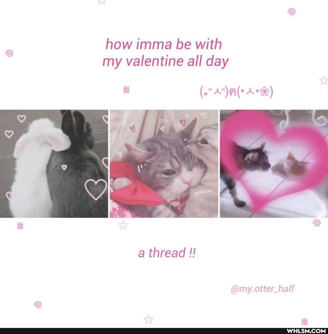 how imma be with my valentine all day
a thread
@my.otter_half