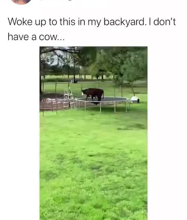 Woke Up To This In My Backyard I Don T Ifunny