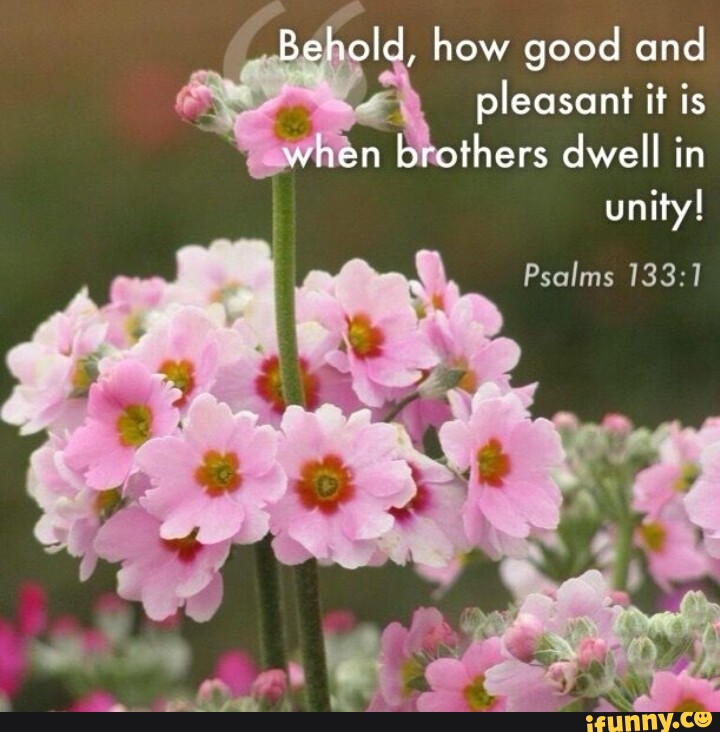 Behold, how good and pleasant it is when brothers dwell in unity ...