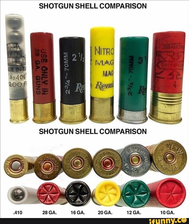 SHOTGUN SHELL COMPARISON Mad SHOTGUN SHELL COMPARISON 410 28GA. 16 GA ...