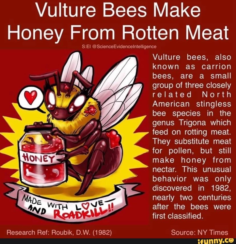 Vulture Bees Make Honey From Rotten Meat SEl 