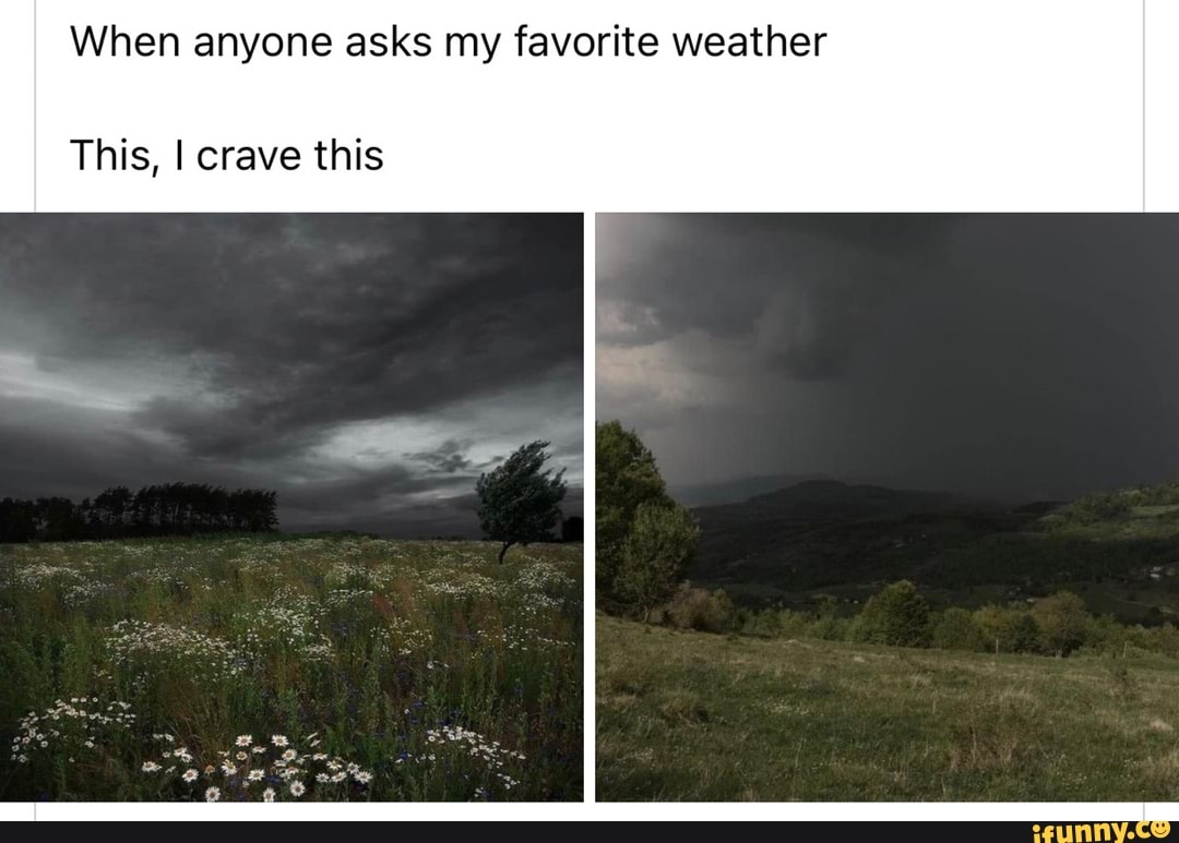 when-anyone-asks-my-favorite-weather-this-i-crave-this-ifunny