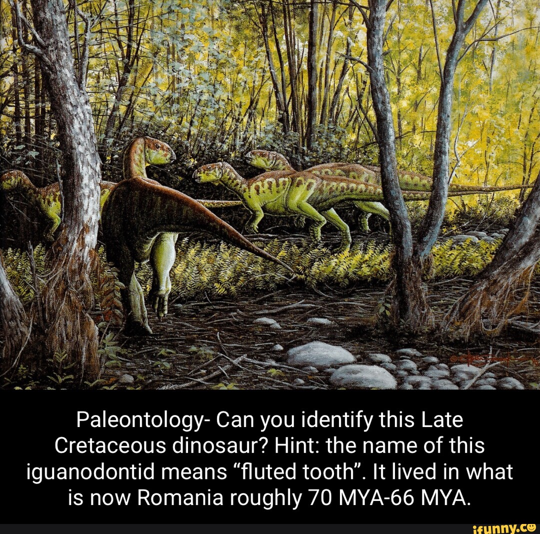 Paleontology- Can you identify this Late Cretaceous dinosaur? Hint: the ...