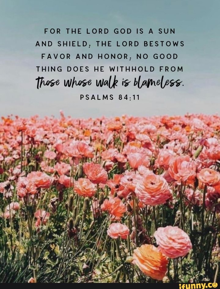 FOR THE LORD GOD IS A SUN AND SHIELD, THE LORD BESTOWS FAVOR AND HONOR ...